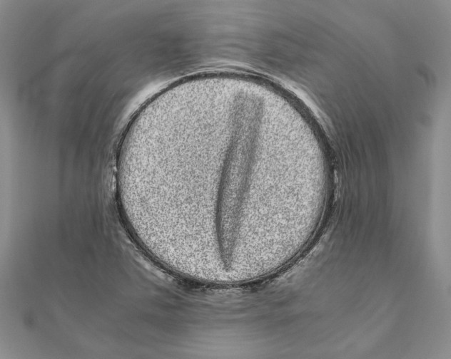 X0000111121363200907281020