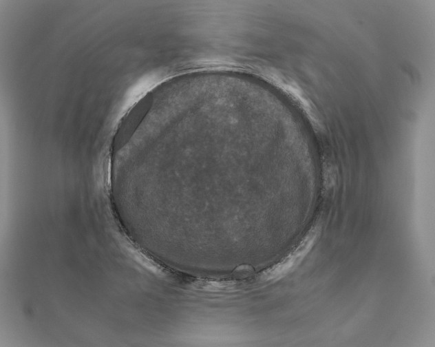 X0000111121365200907281020