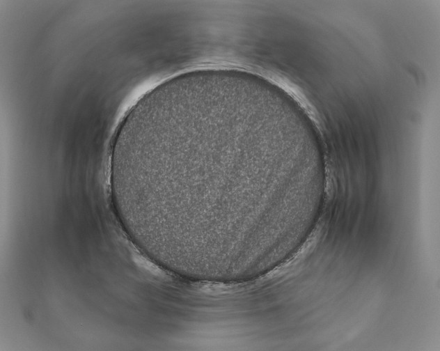 X0000111121366200907281020