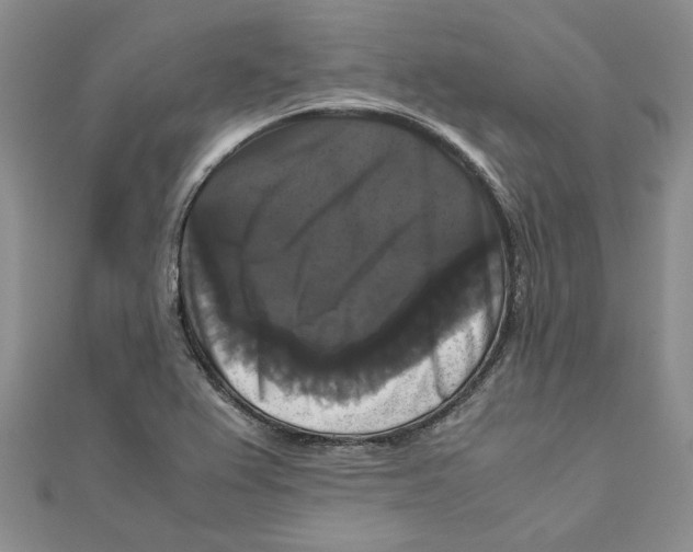 X0000111121367200907281020