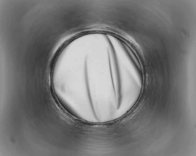 X0000111121368200907281020