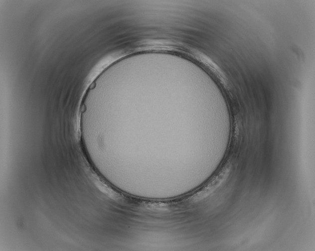 X0000111121370200907281020
