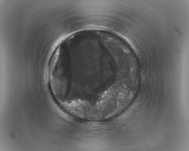 X0000111121371200907281020