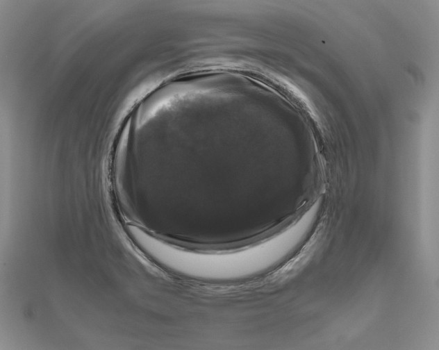X0000111121373200907281020