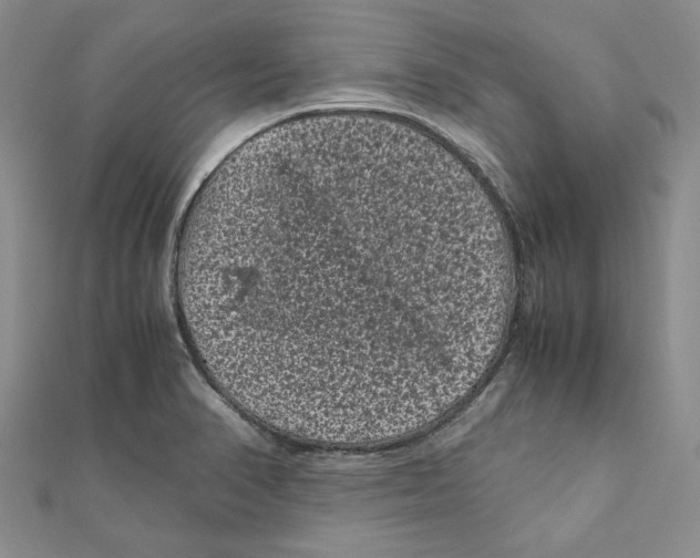 X0000111121374200907281020