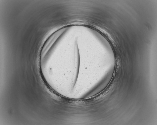 X0000111121375200907281020