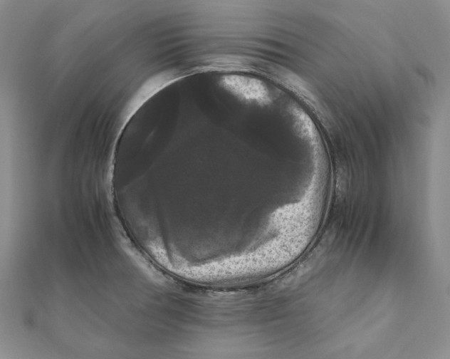 X0000111121378200907281020