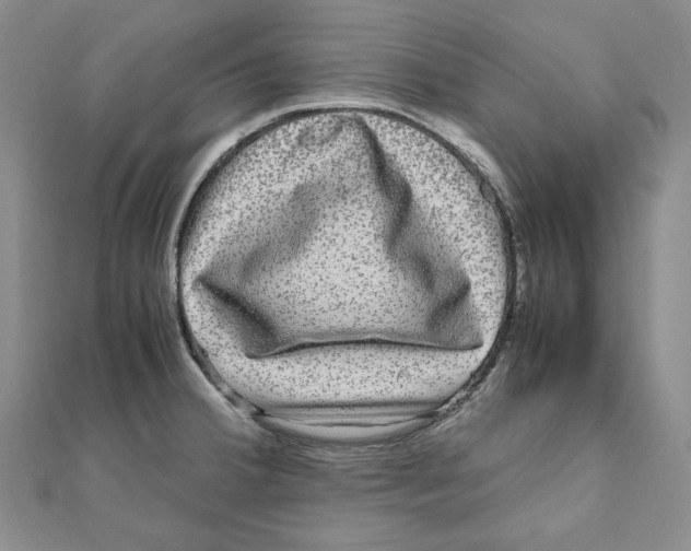 X0000111121380200907281020