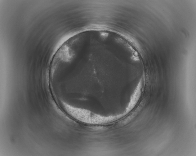 X0000111121382200907281020