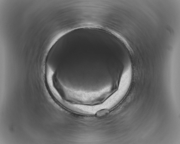 X0000111121383200907281020