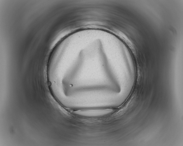 X0000111121384200907281020