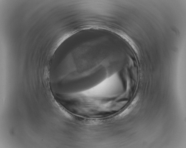 X0000111121385200907281020