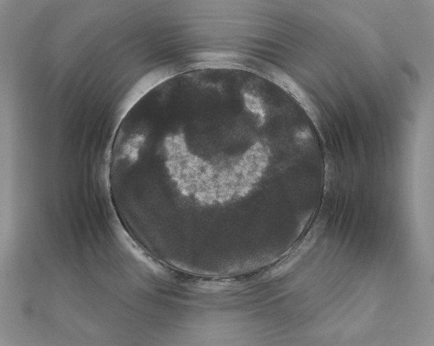 X0000111121386200907281020