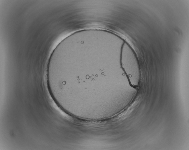 X0000111121387200907281020