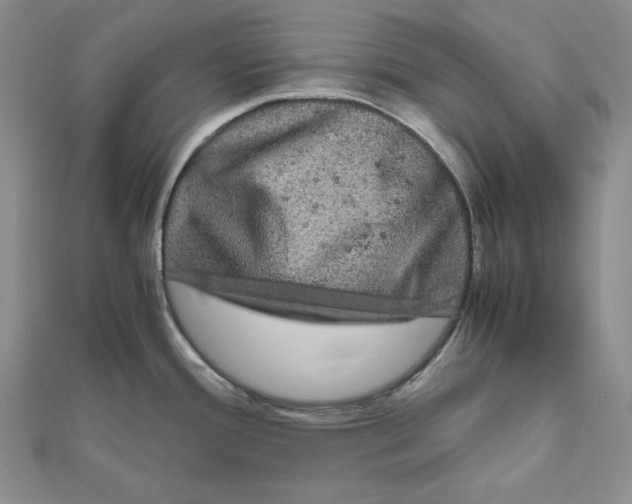 X0000111121388200907281020