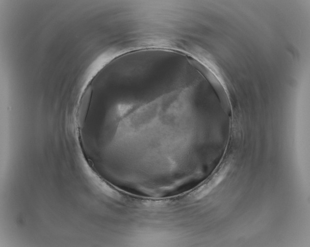 X0000111121389200907281020
