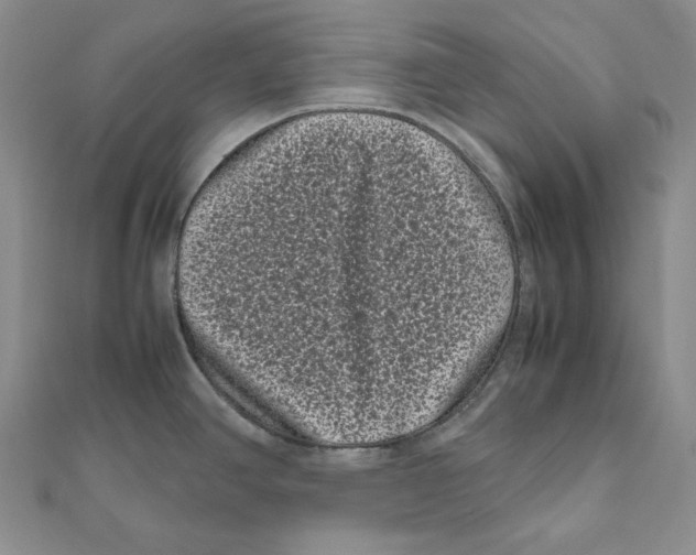 X0000111121390200907281020