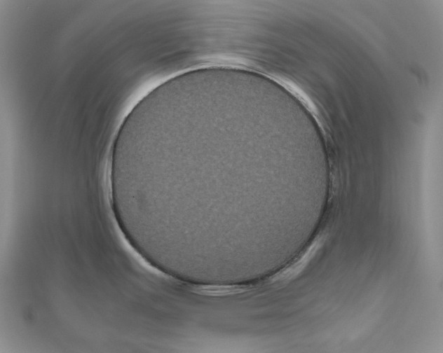 X0000111121391200907281020