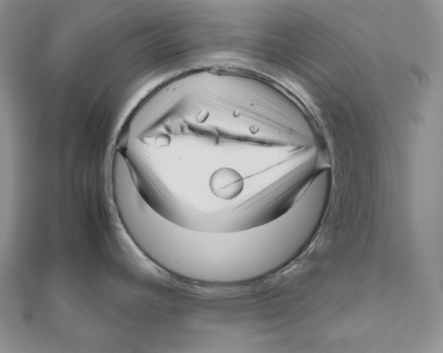 X0000111121392200907281020