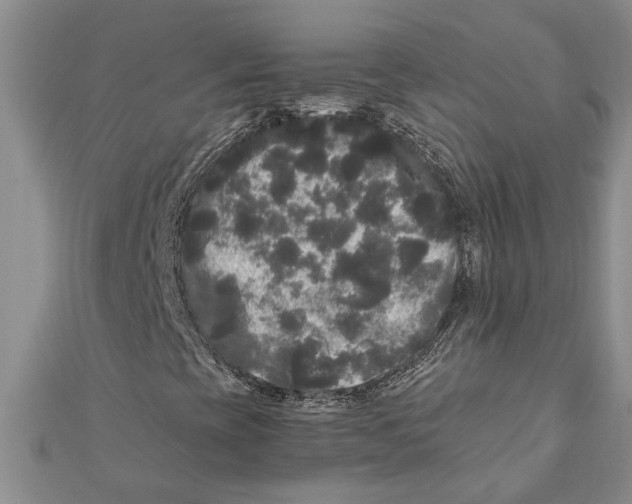 X0000111121393200907281019