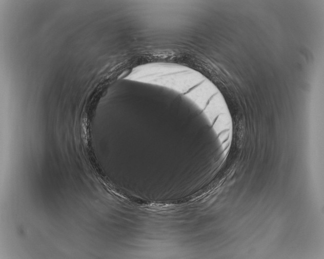 X0000111121394200907281019