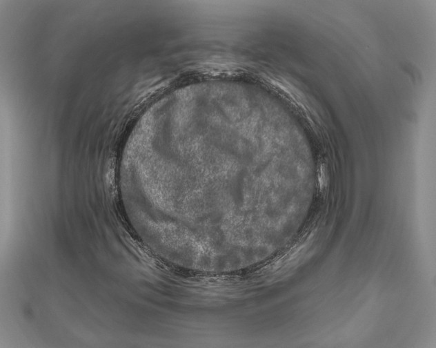 X0000111121396200907281019