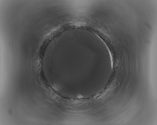 X0000111121398200907281019