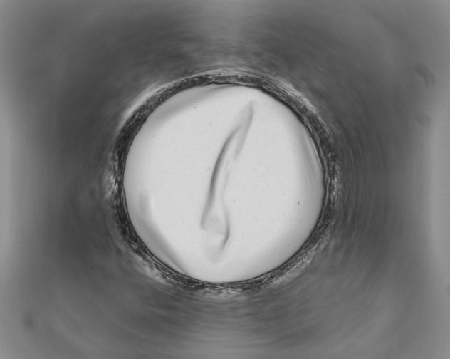 X0000111121400200907281019