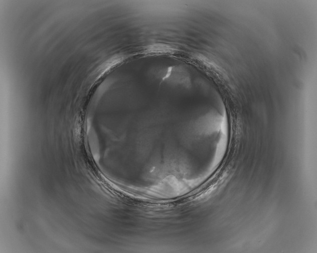 X0000111121401200907281019