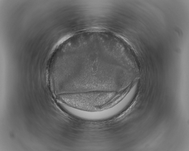 X0000111121402200907281019