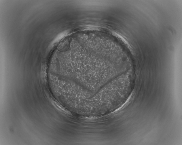 X0000111121403200907281019