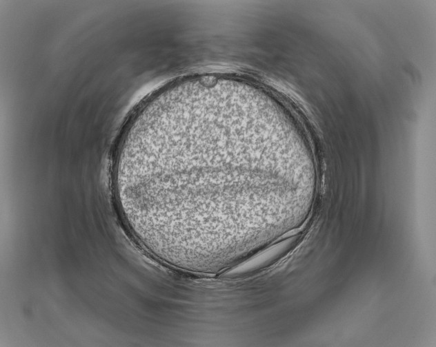 X0000111121404200907281019