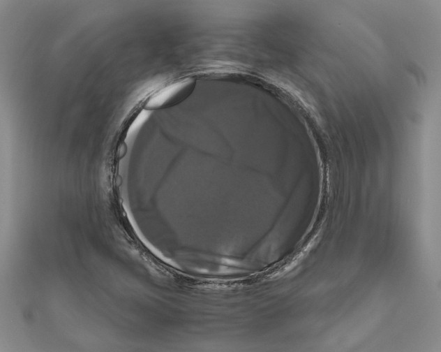 X0000111121405200907281019