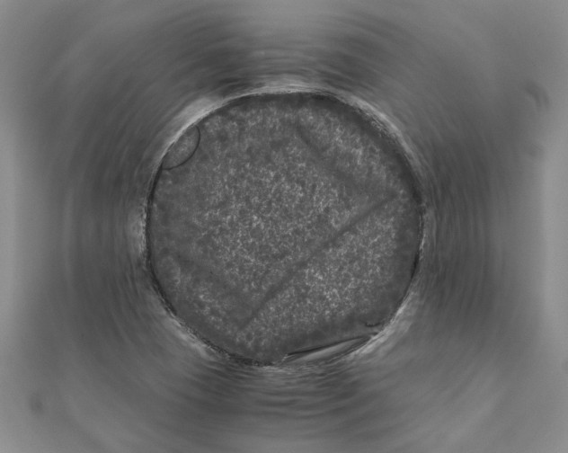 X0000111121409200907281019