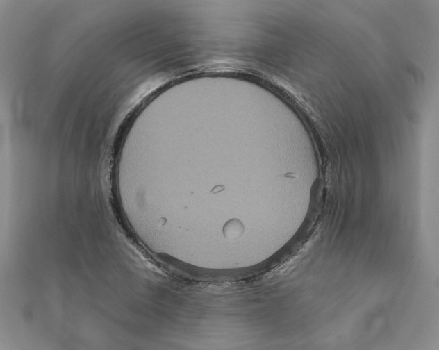 X0000111121410200907281019