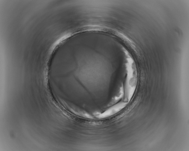 X0000111121411200907281019