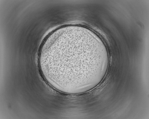 X0000111121412200907281019