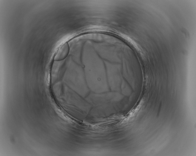 X0000111121413200907281019