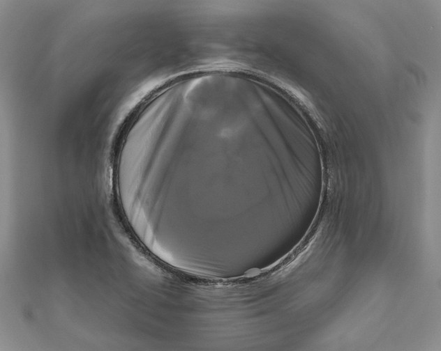 X0000111121414200907281019