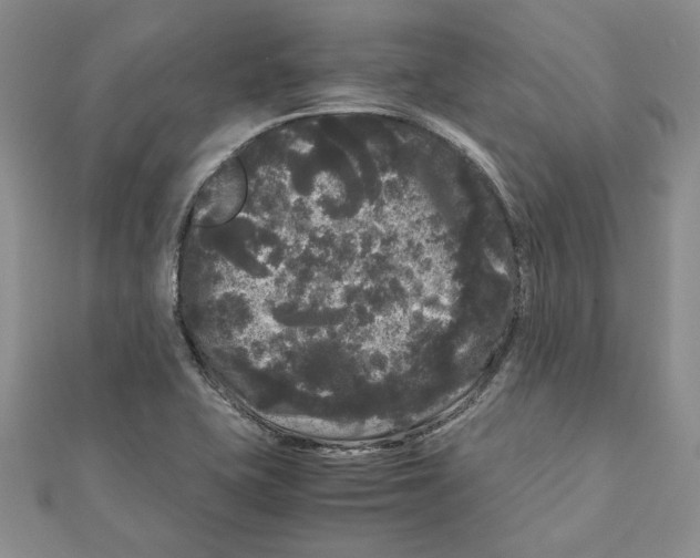 X0000111121415200907281019