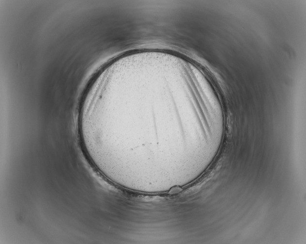 X0000111121416200907281019