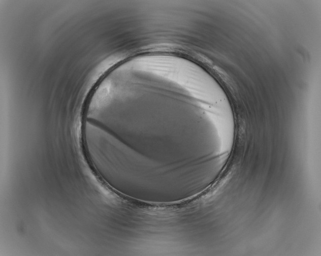 X0000111121418200907281019
