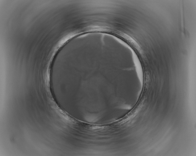 X0000111121419200907281019