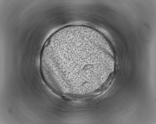 X0000111121420200907281019