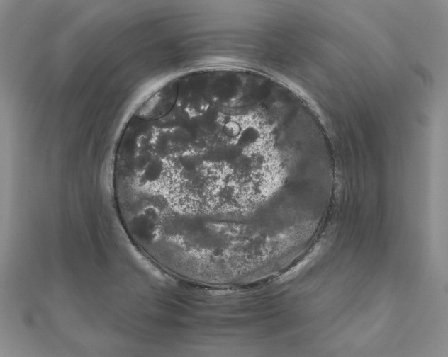 X0000111121421200907281020