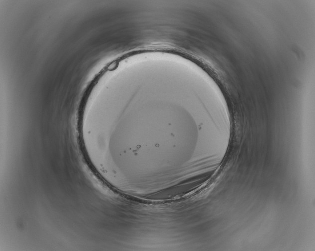 X0000111121422200907281020