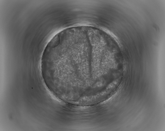 X0000111121423200907281020