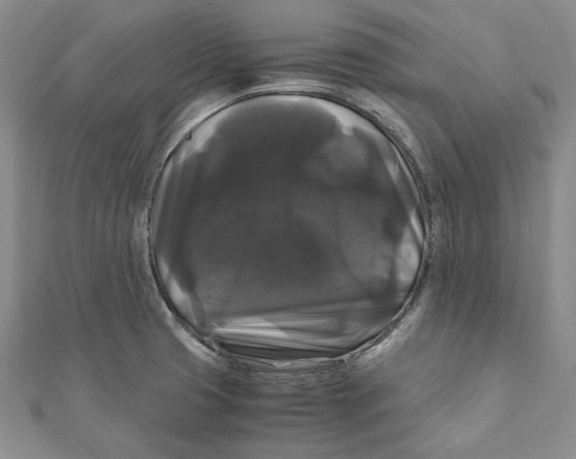 X0000111121425200907281020