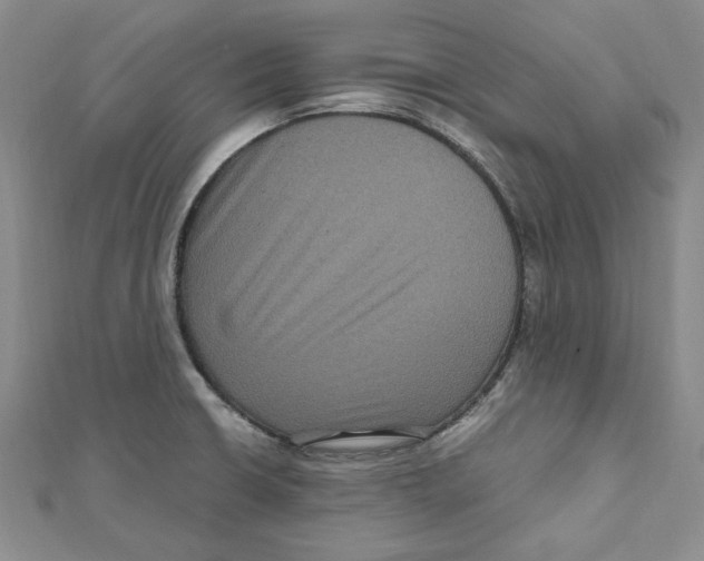 X0000111121426200907281020