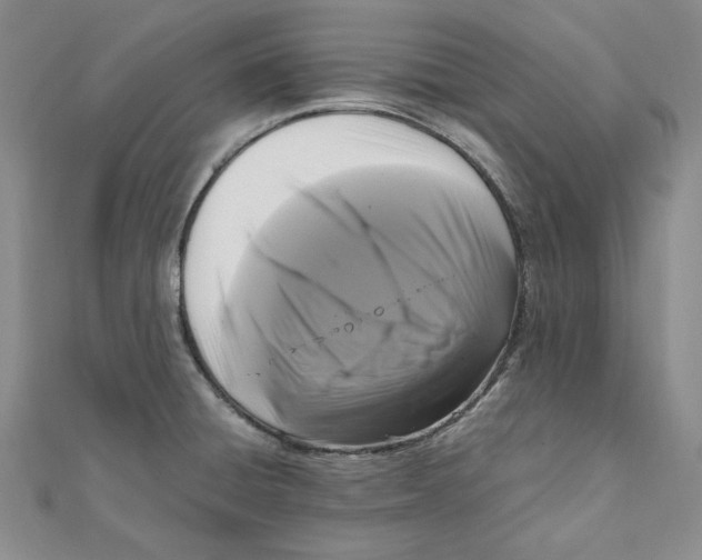 X0000111121428200907281020